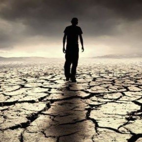 Meet your Posher, Monte - Picture 1 of 1